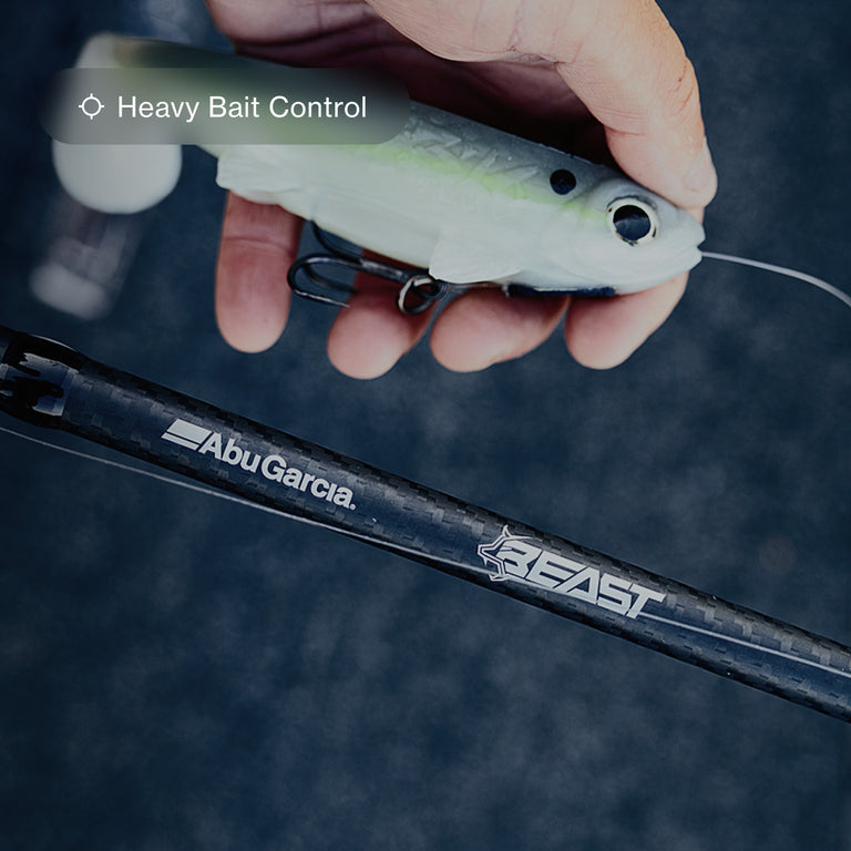 Big Baits Feature